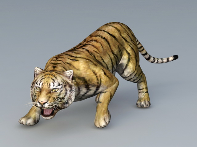 Bengal tiger 3d model - CadNav