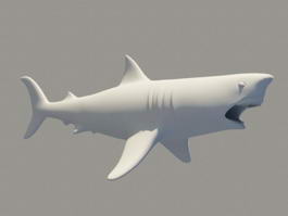 Ugly Shark 3d model preview