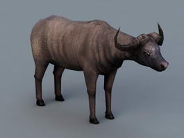 Cape Buffalo 3d model 3ds Max files free download - CadNav