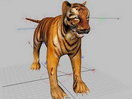 Tiger Rig 3d model preview