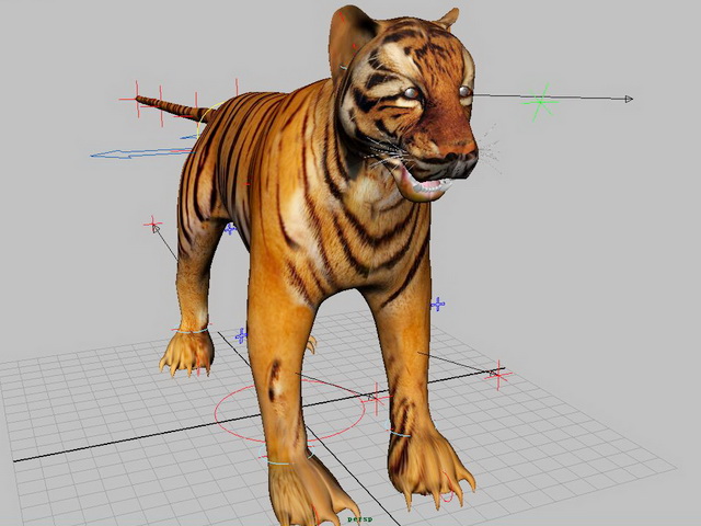 Bengal tiger 3d model - CadNav