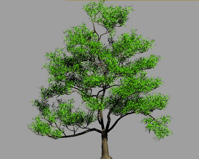 Oak Tree 3d rendering