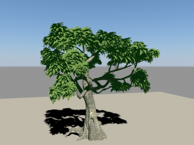 Ficus Tree 3d rendering