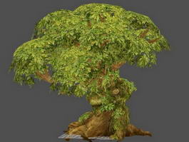 Big Old Tree 3d model preview