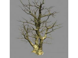 Winter Bare Tree 3d preview