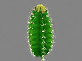 Euphorbia Cactus 3d model preview