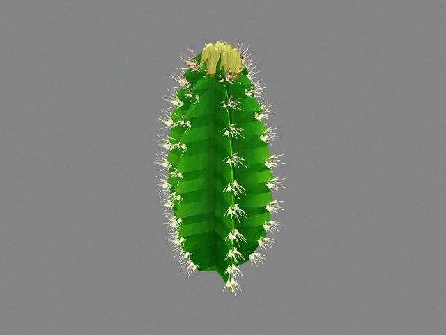 Euphorbia Cactus 3d rendering