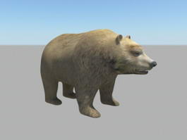 Brown Bear 3d model preview