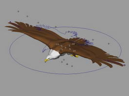 Flying Bald Eagle Rig 3d model preview