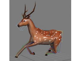 Deer Running Animated & Rigged 3d model preview