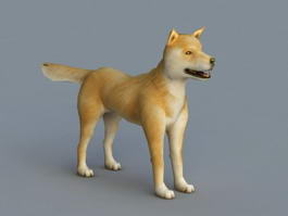 Yellow Dog Rigged 3d model preview