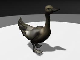 Duck Running 3d model preview