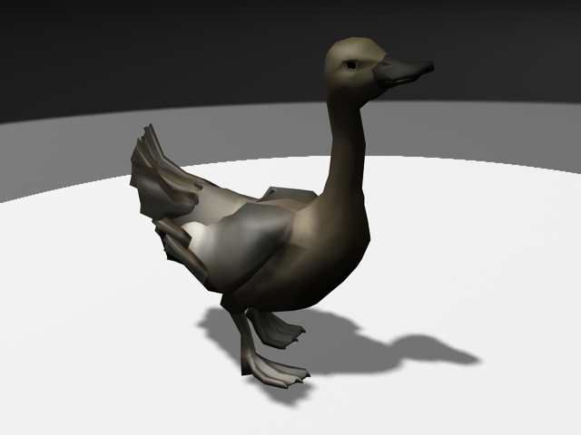 Duck Running 3d rendering