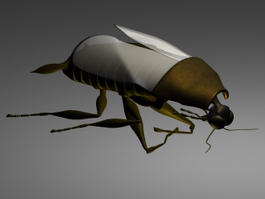 Black Cockroach 3d model preview