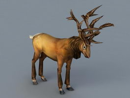 Red Stag 3d model preview