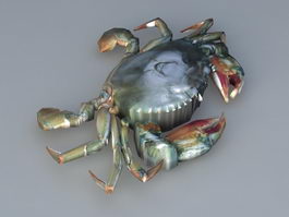 River Crab 3d model preview