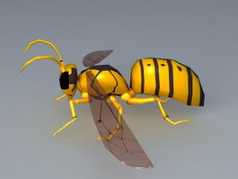 Yellow Wasp 3d model preview