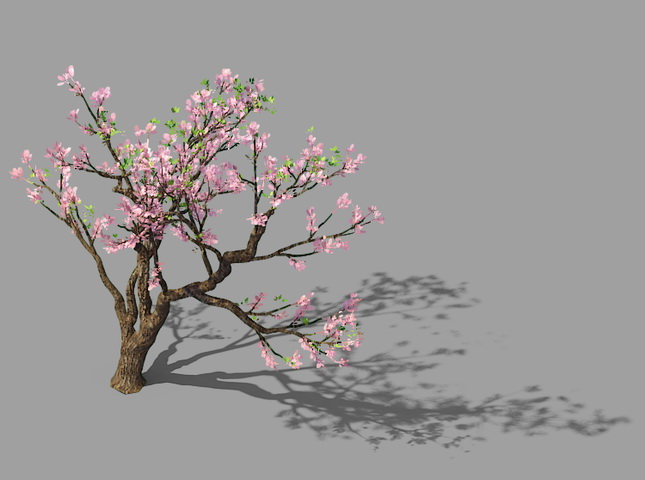 Peach Blossom Tree 3d rendering