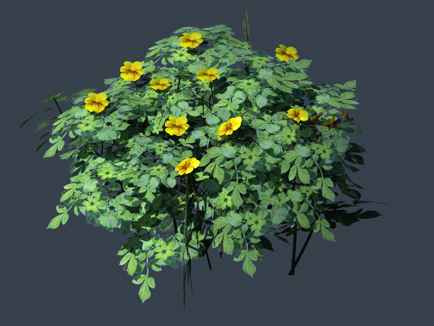 Yellow Flower Bush Plant 3d rendering