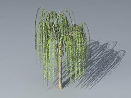 Small Willow Tree 3d preview