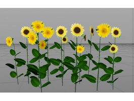 Sunflower Plant 3d model preview