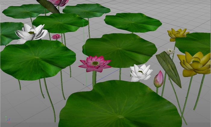 Lotus Flowers and Green Leaves 3d rendering