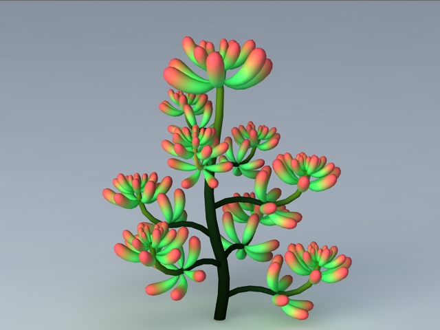 Sedum Pachyphyllum Plant 3d rendering