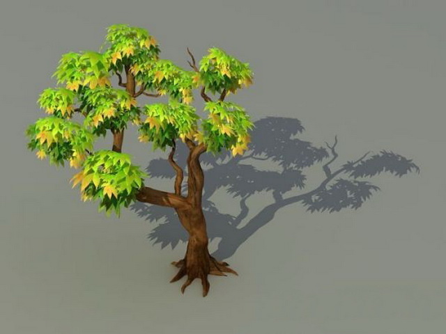 Maple Tree 3d rendering