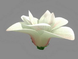 White Flower 3d model preview