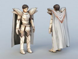 Anime Male Knight 3d preview