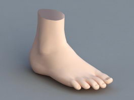 Human Foot 3d model preview