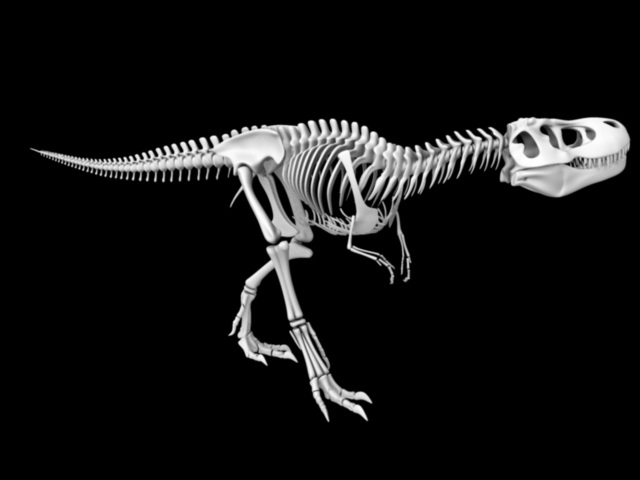 Walking Skeletal Dinosaur Rig & Animated 3d rendering