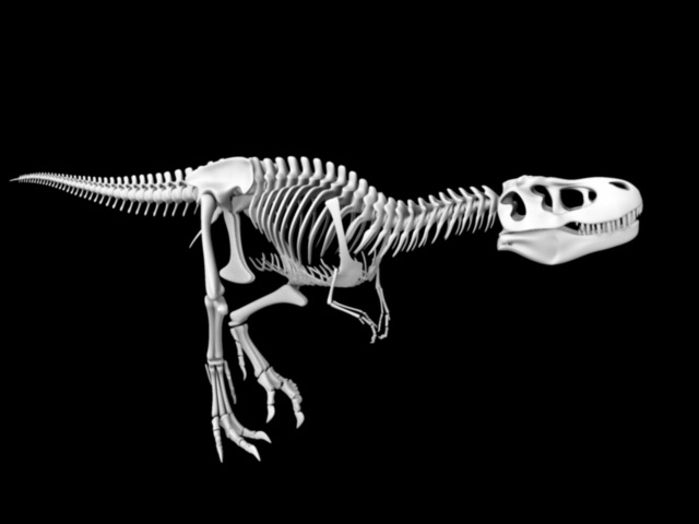 Walking Skeletal Dinosaur Rig & Animated 3d rendering