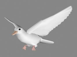 White Dove Flying 3d preview