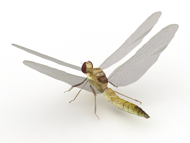 Yellow Dragonfly 3d rendering