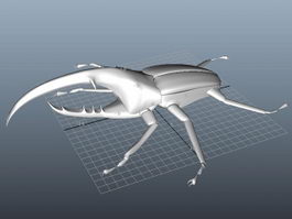 Robot Beetle 3d model preview