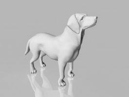 Boxer Dog 3d model preview