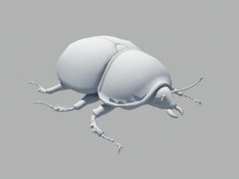Horned Beetle 3d model preview