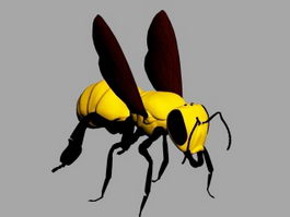 Bee Wasp 3d preview