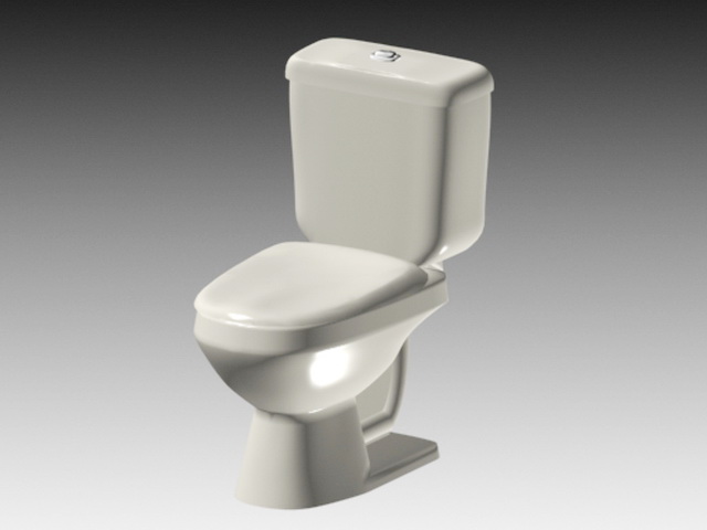Flush Toilet 3d rendering