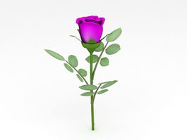 Purple Rose 3d model preview