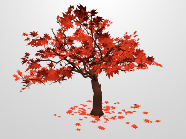 Red Maple Tree 3d rendering