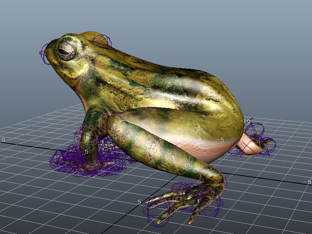 Frog Rigged 3d rendering