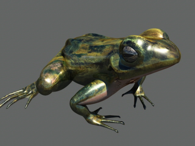 Frog Rigged 3d rendering
