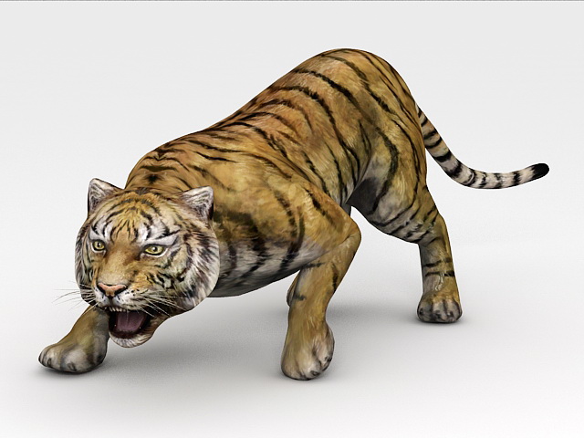 Sumatran Tiger 3d rendering