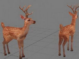 Sika Deer 3d model preview