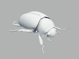 Dung Beetle 3d model preview