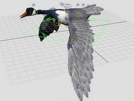 Flying Wild Goose 3d model preview