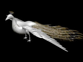 White Peacock 3d model preview