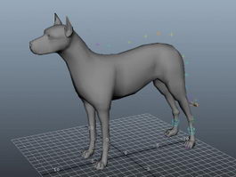 Dog Rig 3d preview